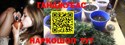амф Ярославль