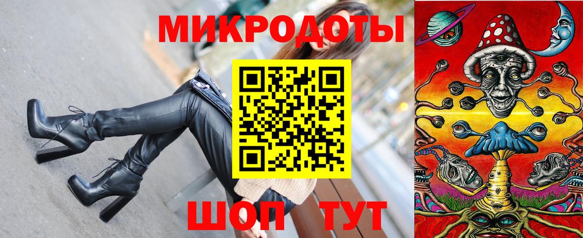 Псилоцибиновые грибы Psilocybine cubensis Алексин