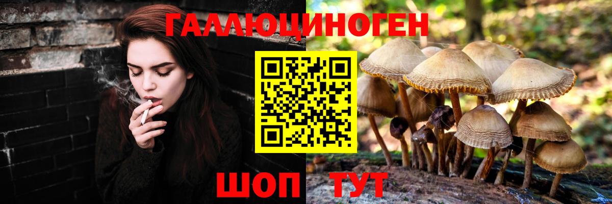 Псилоцибиновые грибы Psilocybine cubensis  Вход с VPN  Алексин  сколько стоит  Галлюциногенные грибы прущие грибы 